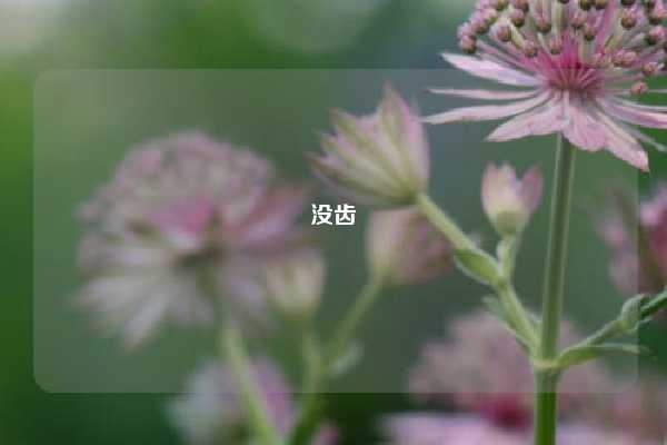 没齿