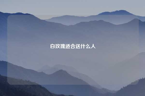 白玫瑰适合送什么人