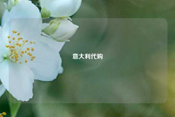 意大利代购