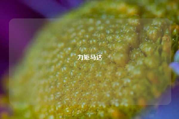 力矩马达