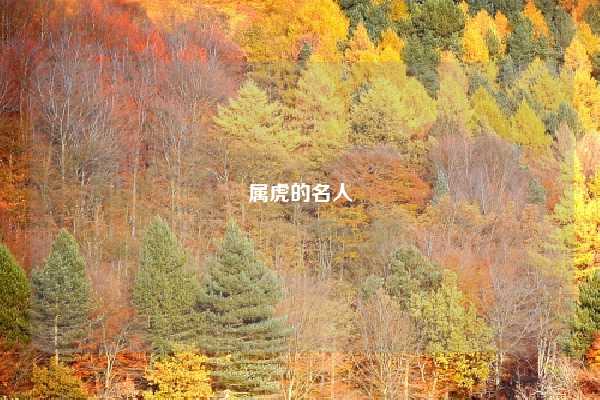 属虎的名人
