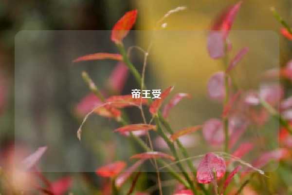 帝王受