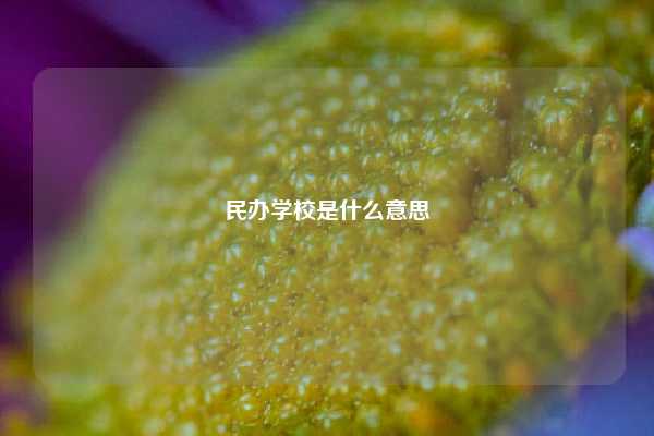 民办学校是什么意思