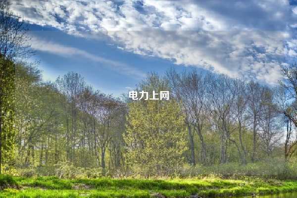 电力上网