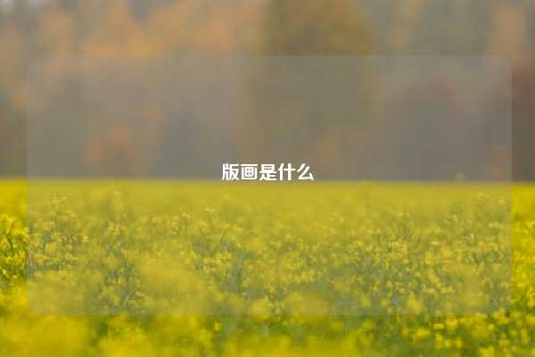 版画是什么