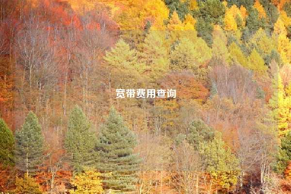 宽带费用查询