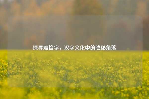 探寻难检字，汉字文化中的隐秘角落
