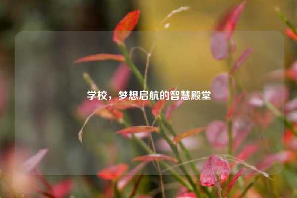 学校，梦想启航的智慧殿堂