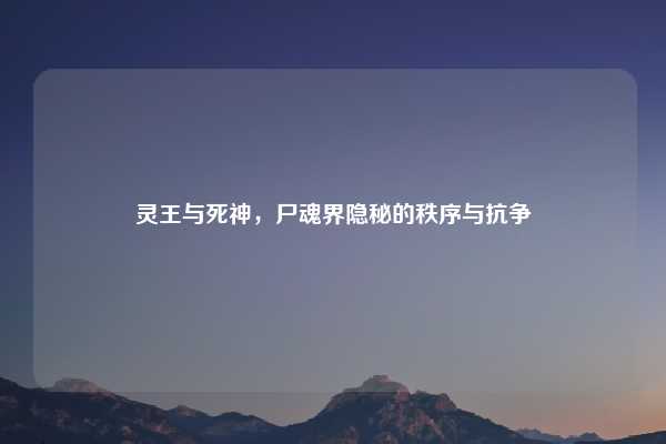 灵王与死神，尸魂界隐秘的秩序与抗争