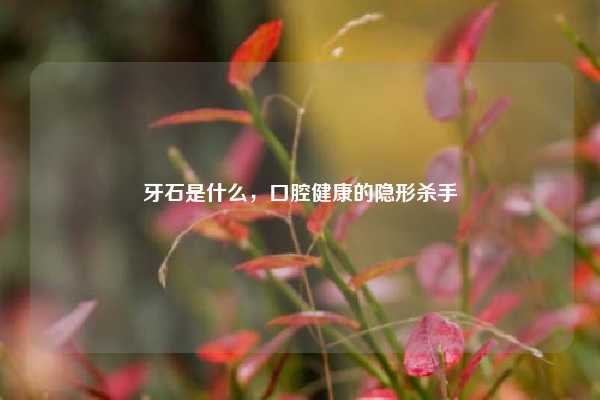 牙石是什么，口腔健康的隐形杀手