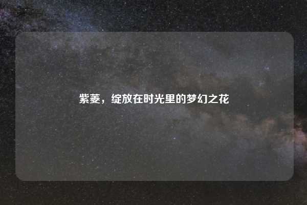 紫菱，绽放在时光里的梦幻之花
