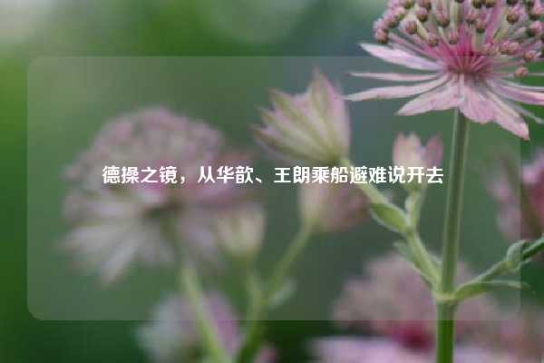 德操之镜，从华歆、王朗乘船避难说开去