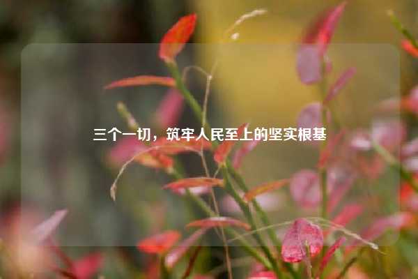 三个一切，筑牢人民至上的坚实根基