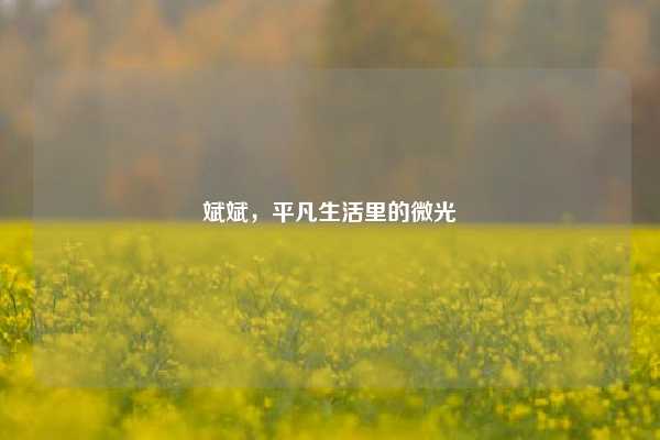 斌斌，平凡生活里的微光