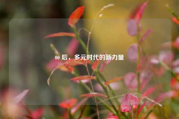 00 后，多元时代的新力量