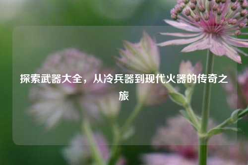 探索武器大全，从冷兵器到现代火器的传奇之旅