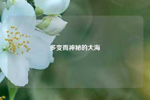 多变而神秘的大海