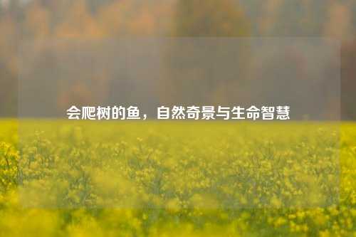 会爬树的鱼，自然奇景与生命智慧