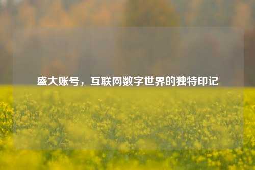 盛大账号，互联网数字世界的独特印记