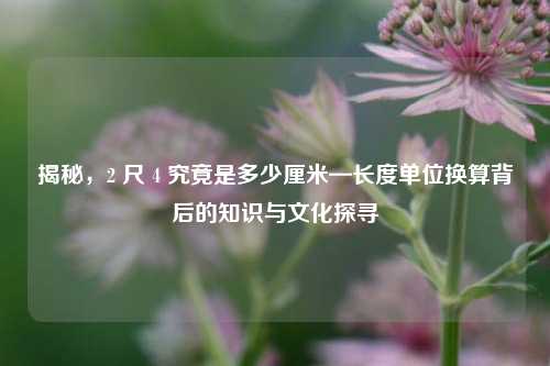 揭秘，2 尺 4 究竟是多少厘米—长度单位换算背后的知识与文化探寻