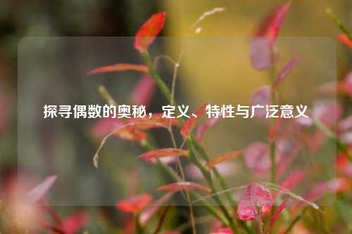 探寻偶数的奥秘，定义、特性与广泛意义