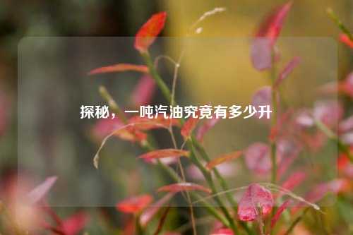 探秘，一吨汽油究竟有多少升