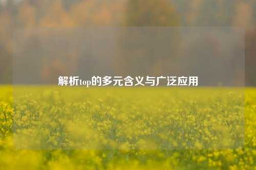 解析top的多元含义与广泛应用