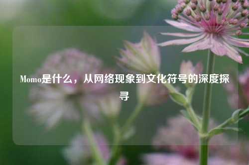 Momo是什么，从网络现象到文化符号的深度探寻