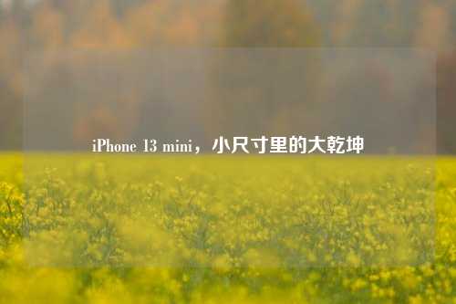 iPhone 13 mini，小尺寸里的大乾坤