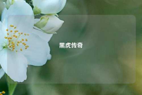 黑虎传奇