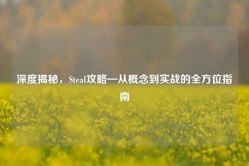 深度揭秘，Steal攻略—从概念到实战的全方位指南