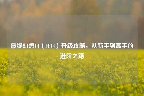 最终幻想14（FF14）升级攻略，从新手到高手的进阶之路