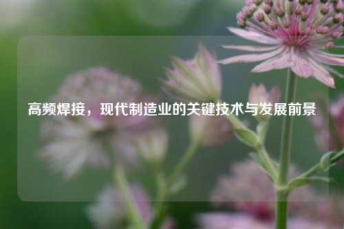 高频焊接，现代制造业的关键技术与发展前景