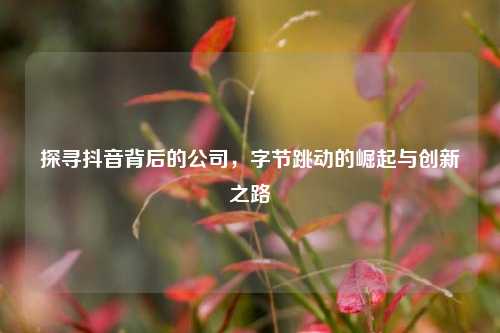 探寻抖音背后的公司，字节跳动的崛起与创新之路