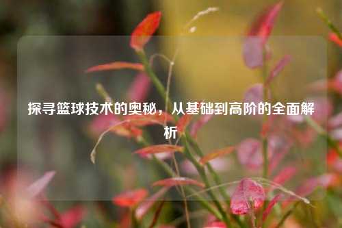 探寻篮球技术的奥秘，从基础到高阶的全面解析