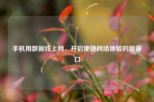 手机用数据线上网，开启便捷网络体验的新窗口