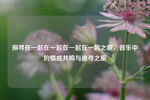探寻在一起在一起在一起在一起之歌，音乐中的情感共鸣与追寻之旅