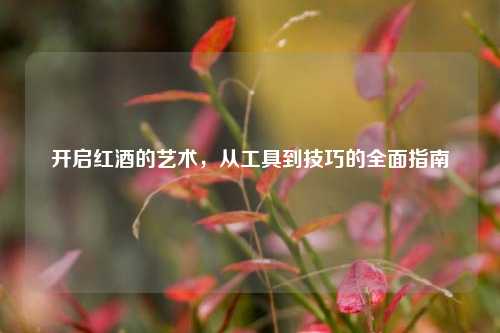 开启红酒的艺术,从工具到技巧的全面指南