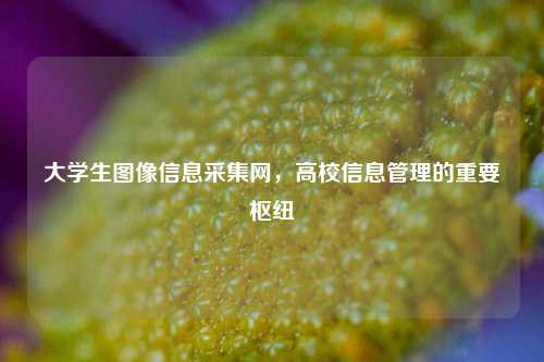 大学生图像信息采集网,高校信息管理的重要枢纽