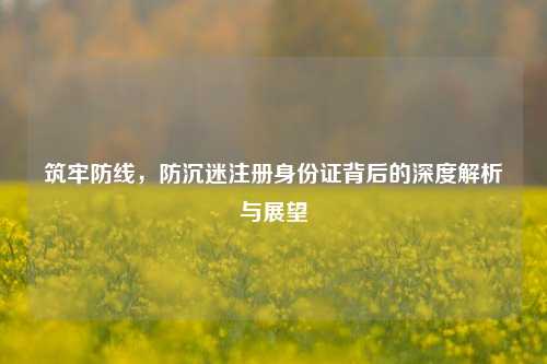 筑牢防线，防沉迷注册身份证背后的深度解析与展望