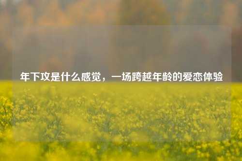 年下攻是什么感觉,一场跨越年龄的爱恋体验