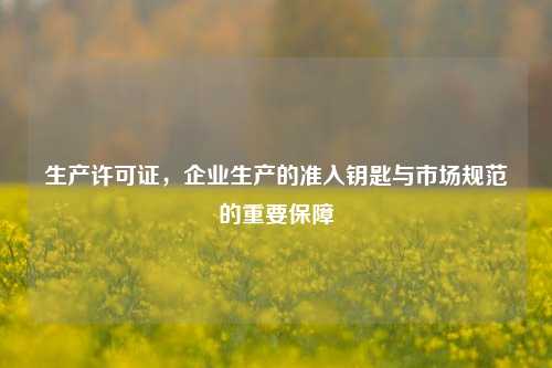 生产许可证,企业生产的准入钥匙与市场规范的重要保障