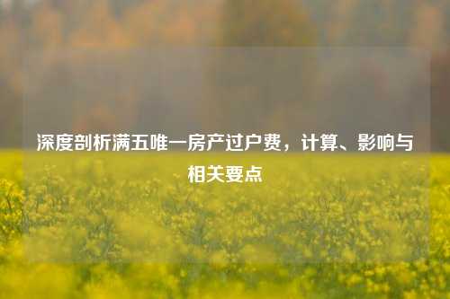 深度剖析满五唯一房产过户费，计算、影响与相关要点