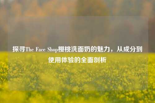 探寻The Face Shop樱桃洗面奶的魅力，从成分到使用体验的全面剖析