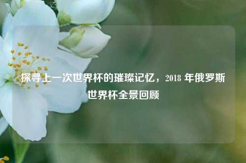 探寻上一次世界杯的璀璨记忆，2018 年俄罗斯世界杯全景回顾