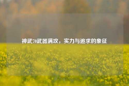 神武70武器满攻,实力与追求的象征