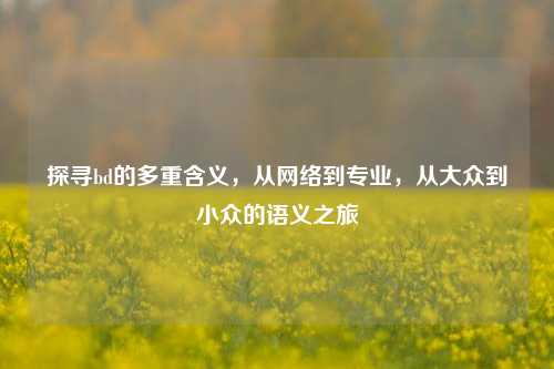 探寻bd的多重含义,从网络到专业,从大众到小众的语义之旅