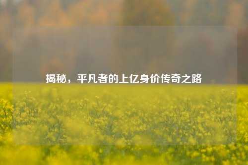 揭秘,平凡者的上亿身价传奇之路