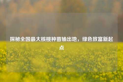探秘全国最大核桃种苗输出地,绿色致富新起点