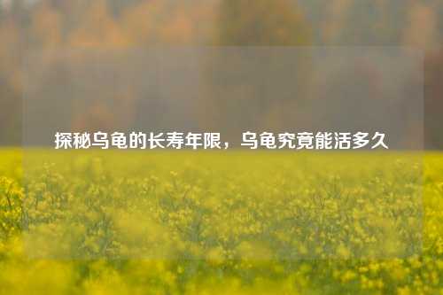 探秘乌龟的长寿年限，乌龟究竟能活多久